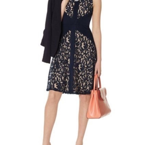 The Limited Navy Lace Dress - Picture 8 of 8